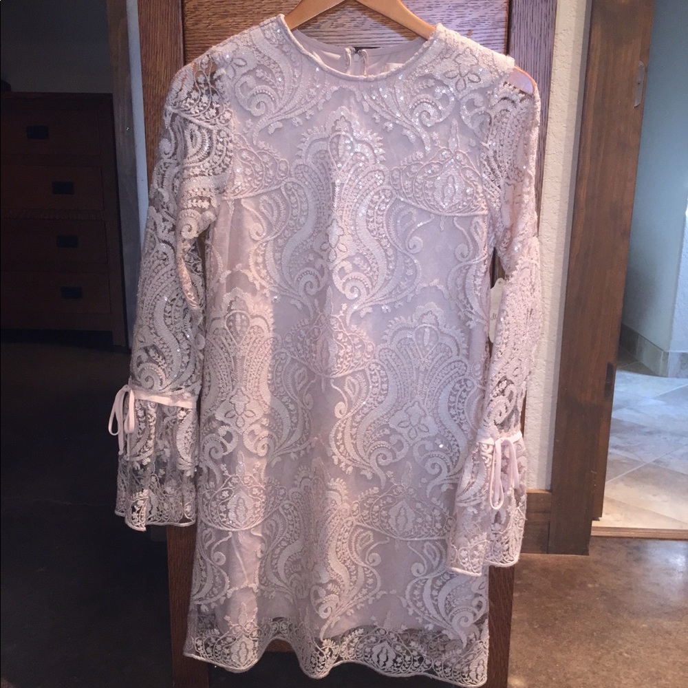 NWT Altair’s State Dress Small Blush Sequin Ruffle